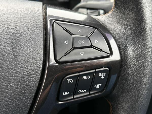 Ford Ranger 2.0 EcoBlue Wildtrak Auto 4WD Euro 6 (s/s) 4dr