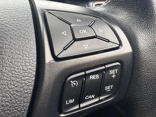 Ford Ranger 2.0 EcoBlue Wolftrak Pickup Double Cab 4dr Diesel Manual 4WD Euro 6 (s/s) (170 ps)