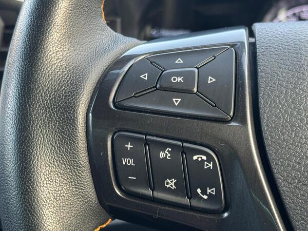 Ford Ranger 3.2 TDCi Wildtrak Auto 4WD Euro 6 (s/s) 4dr