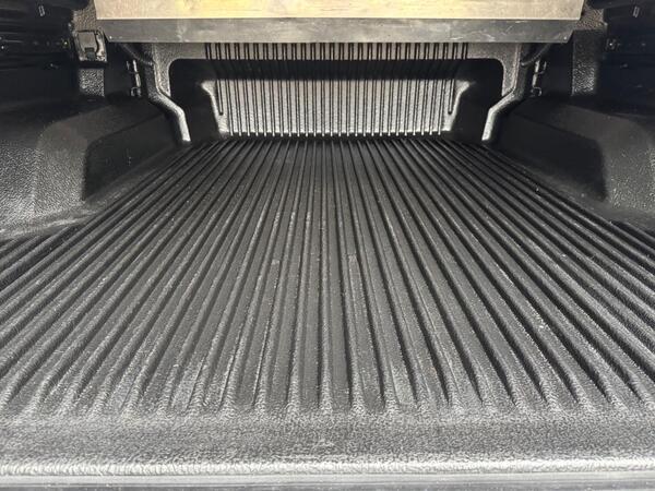 Ford Ranger 2.0 EcoBlue Wildtrak Auto 4WD Euro 6 (s/s) 4dr