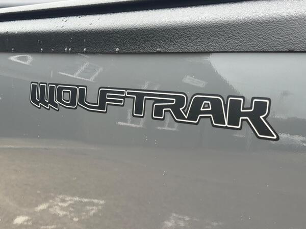 Ford Ranger 2.0 EcoBlue Wolftrak Pickup Double Cab 4dr Diesel Manual 4WD Euro 6 (s/s) (170 ps)
