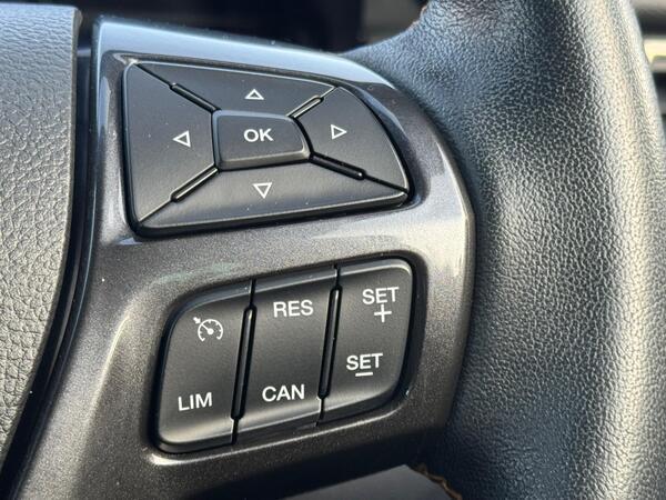 Ford Ranger 3.2 TDCi Wildtrak Auto 4WD Euro 6 (s/s) 4dr
