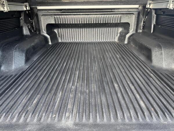 Ford Ranger 2.0 EcoBlue Wildtrak Auto 4WD Euro 6 (s/s) 4dr