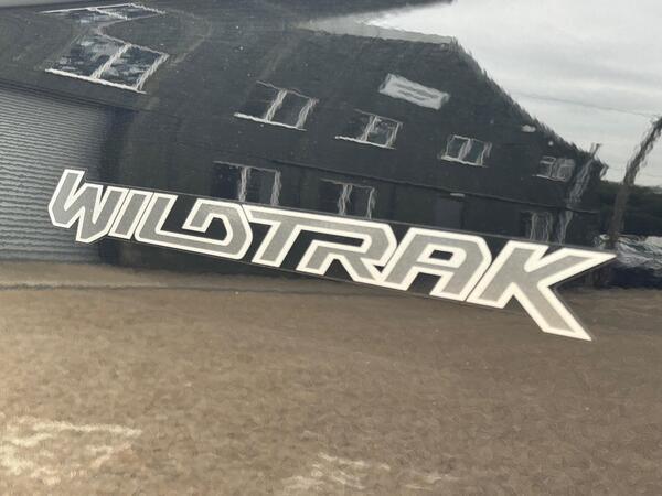 Ford Ranger 2.0 EcoBlue Wildtrak Auto 4WD Euro 6 (s/s) 4dr