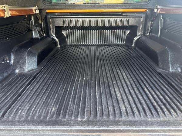 Ford Ranger 3.2 TDCi Wildtrak Auto 4WD Euro 6 (s/s) 4dr