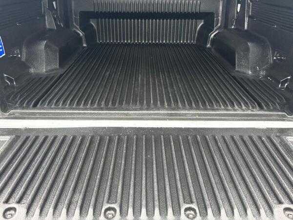 Ford Ranger 3.2 TDCi Wildtrak Auto 4WD Euro 6 (s/s) 4dr