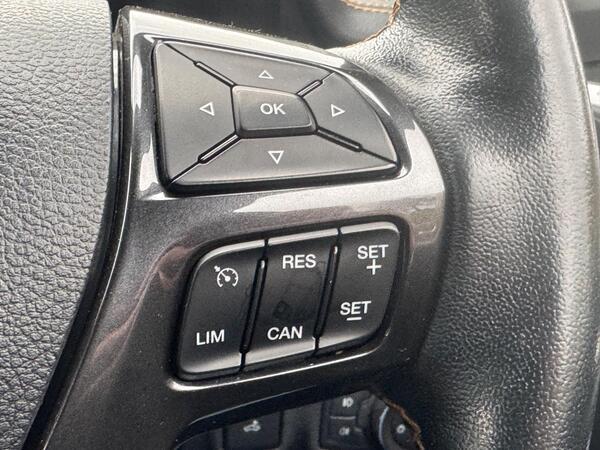 Ford Ranger 3.2 TDCi Wildtrak Auto 4WD Euro 6 (s/s) 4dr