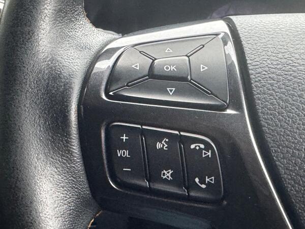 Ford Ranger 3.2 TDCi Wildtrak Auto 4WD Euro 6 (s/s) 4dr