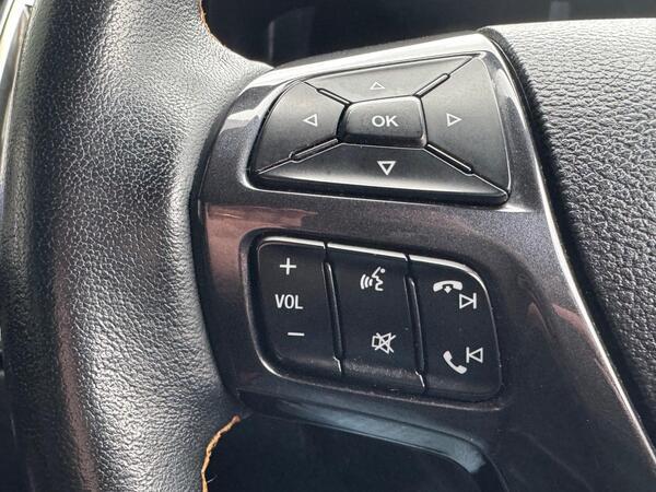 Ford Ranger 2.0 EcoBlue Wildtrak Auto 4WD Euro 6 (s/s) 4dr