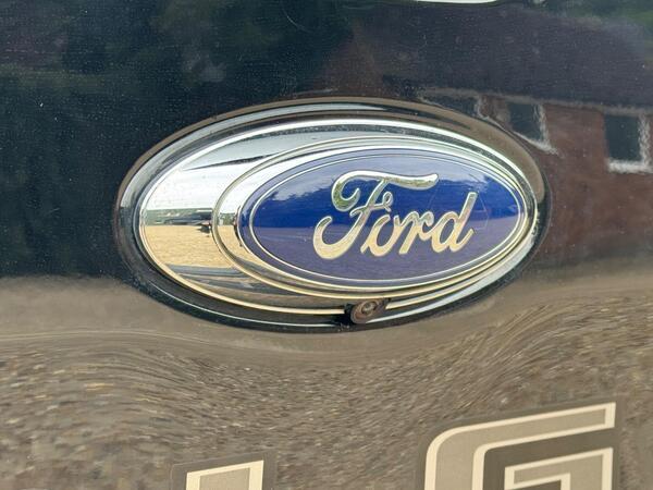 Ford Ranger 2.0 EcoBlue Wildtrak Auto 4WD Euro 6 (s/s) 4dr