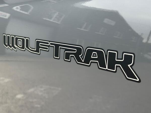 Ford Ranger 2.0 EcoBlue Wolftrak Pickup Double Cab 4dr Diesel Manual 4WD Euro 6 (s/s) (170 ps)