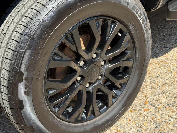 Ford Ranger 2.0 EcoBlue Thunder Auto 4WD Euro 6 (s/s) 4dr