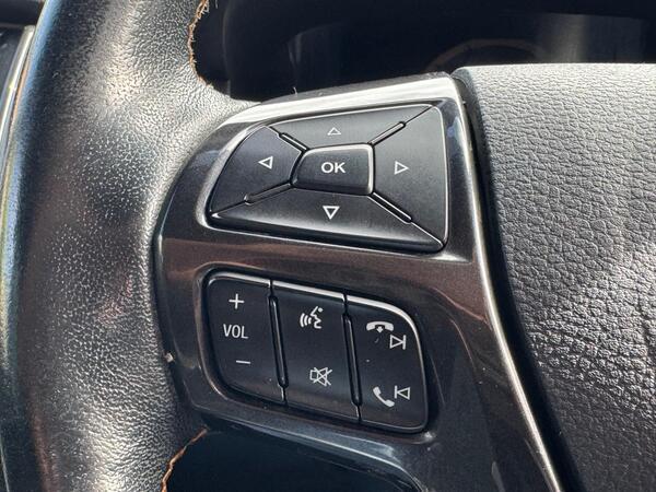 Ford Ranger 2.0 EcoBlue Wildtrak Auto 4WD Euro 6 (s/s) 4dr