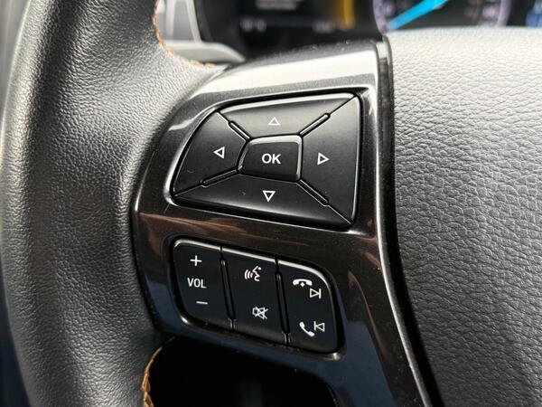 Ford Ranger 2.0 EcoBlue Wildtrak Auto 4WD Euro 6 (s/s) 4dr