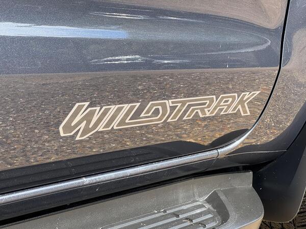 Ford Ranger 2.0 EcoBlue Wildtrak Auto 4WD Euro 6 (s/s) 4dr