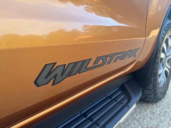 Ford Ranger 3.2 TDCi Wildtrak Auto 4WD Euro 6 (s/s) 4dr