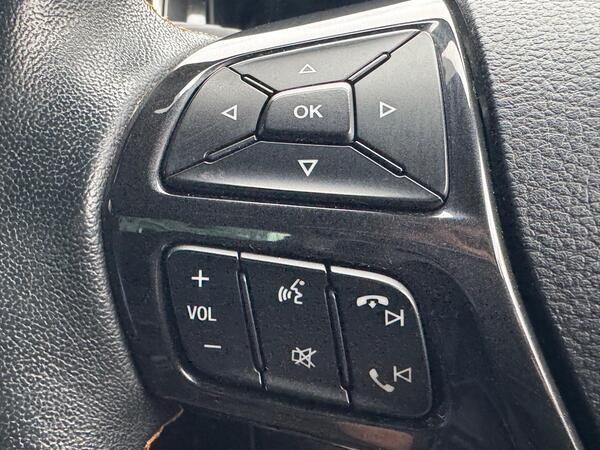 Ford Ranger 2.0 EcoBlue Wildtrak Auto 4WD Euro 6 (s/s) 4dr