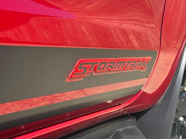 Ford Ranger 2.0 EcoBlue Stormtrak Pickup Double Cab 4dr Diesel Auto 4WD Euro 6 (s/s) (213 ps)